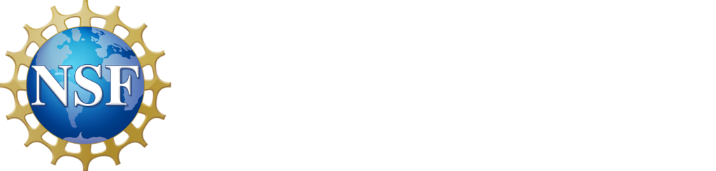 NSF Engines logo